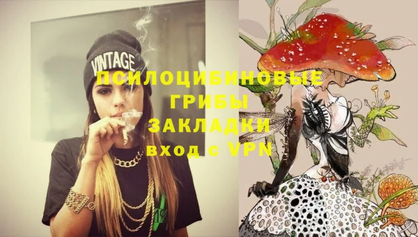 прущая мука Верхний Тагил