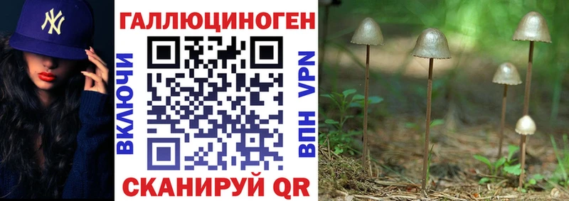 Псилоцибиновые грибы Magic Shrooms  Воркута 