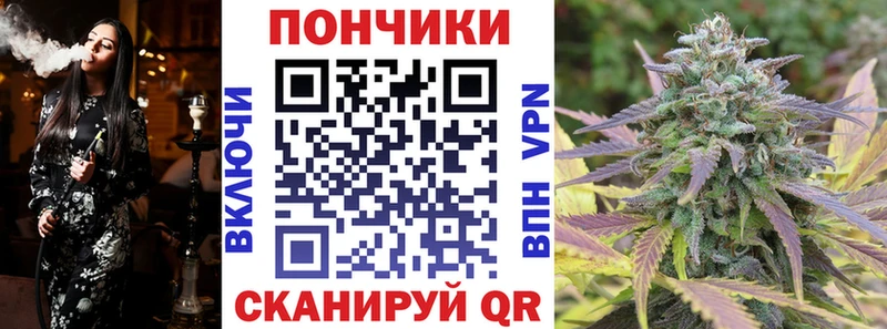 Конопля сатива  Воркута 